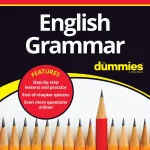 English Grammar All-in-One For Dummies