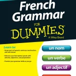 French Grammar For Dummies