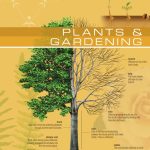 The Visual Dictionary of Plants & Gardening